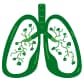 lungs in different shades of green