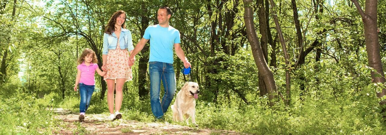 Photo of family walking with their dog.