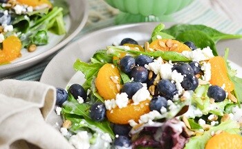 Picture of blueberry sun salad